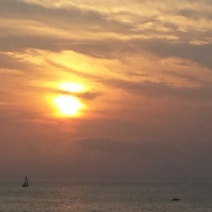 Meet your Posher, Angelina